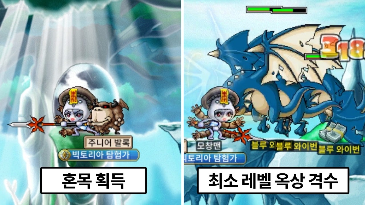 오늘도 땀내 나는 블와둥 헬스장