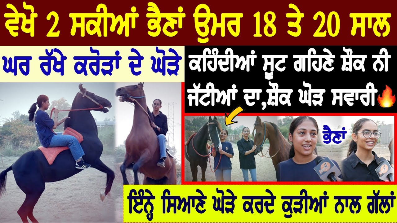 ਵੇਖੋ 2 ਸਕੀਆਂ ਭੈਣਾਂ ਨੇ ਪਾਲੇ ਕਰੋੜਾਂ ਦੇ ਘੋੜੇ ਕਰਦੇ ਕੁੜੀਆਂ ਨਾਲ ਗੱਲਾਂ😍ਉਮਰ 18 ਤੇ 20,ਜੱਟੀਆਂ ਦਾ ਸ਼ੋਂਕ ਘੋੜਸਵਾਰੀ