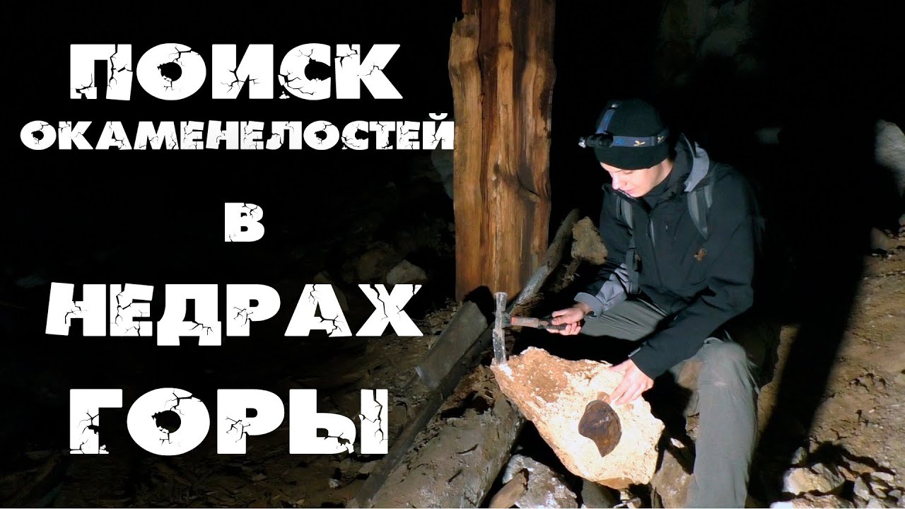 Окаменелости Сокских штолен| Подземный коралловый риф| Что можно найти в старинных каменоломнях?