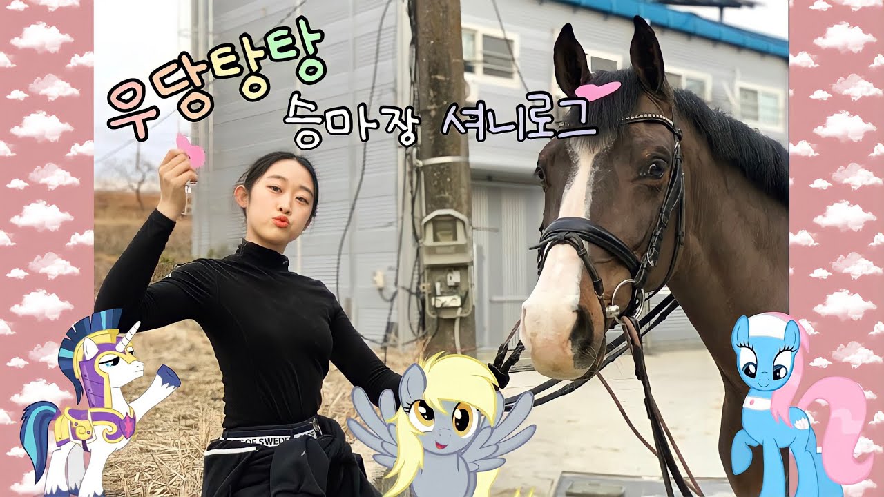 우당탕탕 승마장 VLOG |셔니션|