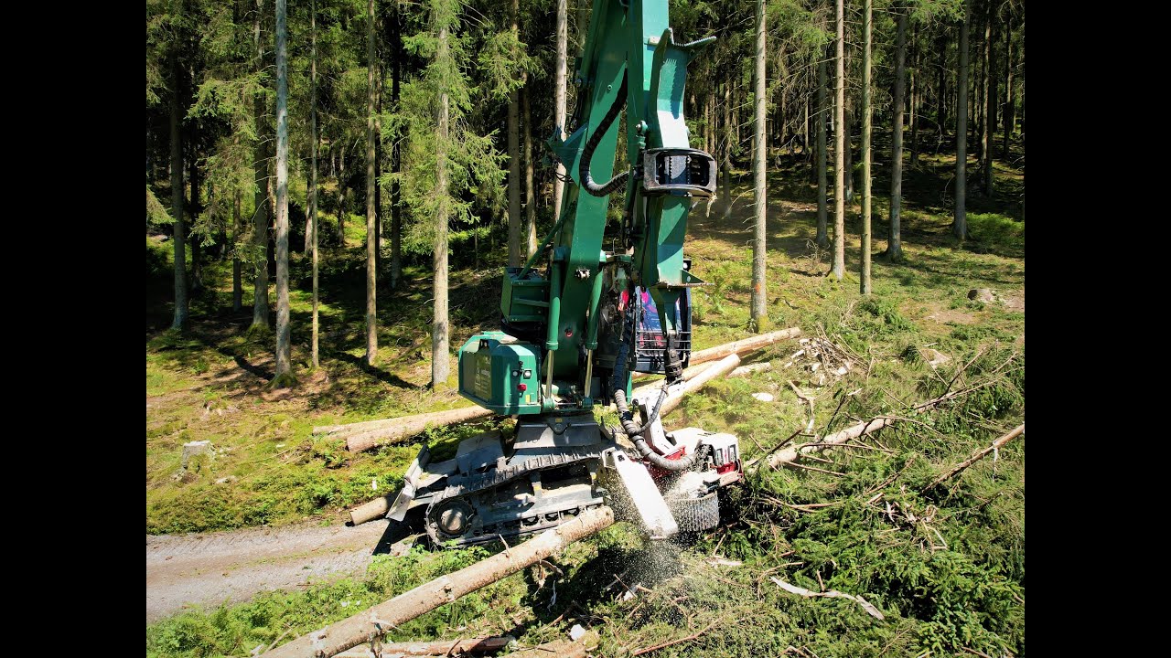 🌲*ONboard* Königstiger Kern HE93.1 • Woodex AG • big logging • biggest HarvesterAction • Logmax 🌲