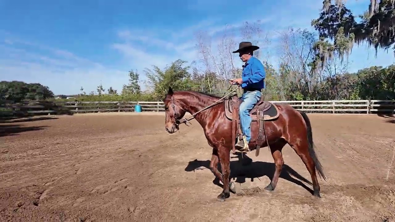 Episode 29, The Mindset & Mechanics of Neck-Reining Basics
