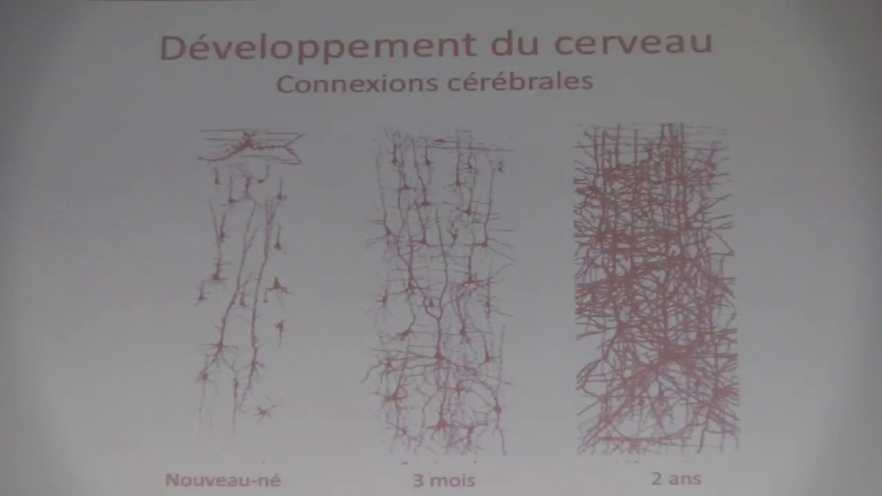Conférence #tpep17 Dr. Anne-Lise Ducanda, l'enfant et le numérique