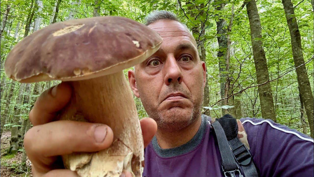 Bombe Estive Appennino Tosco Emiliano! I primi Porcini del 2025, uno Spettacolo