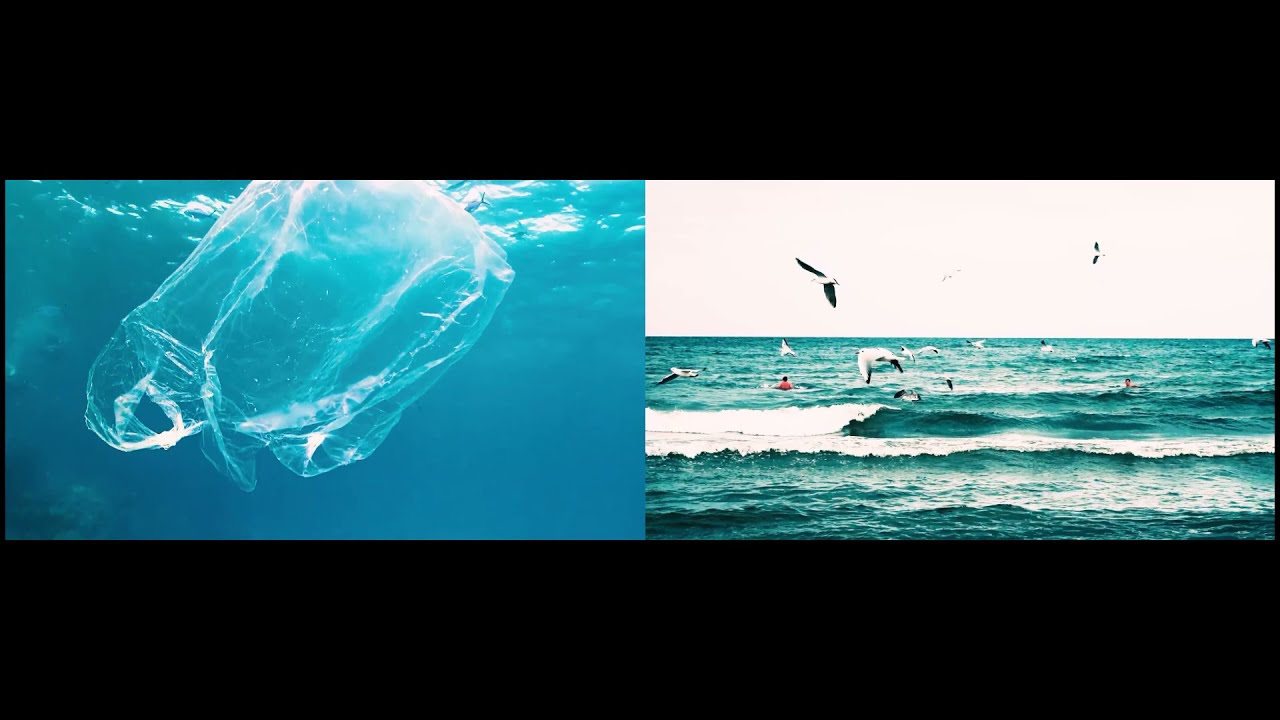 Sonae – Summer (PREMIERE)