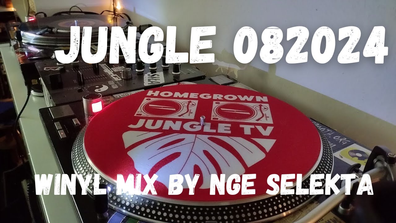 JUNGLE 082024