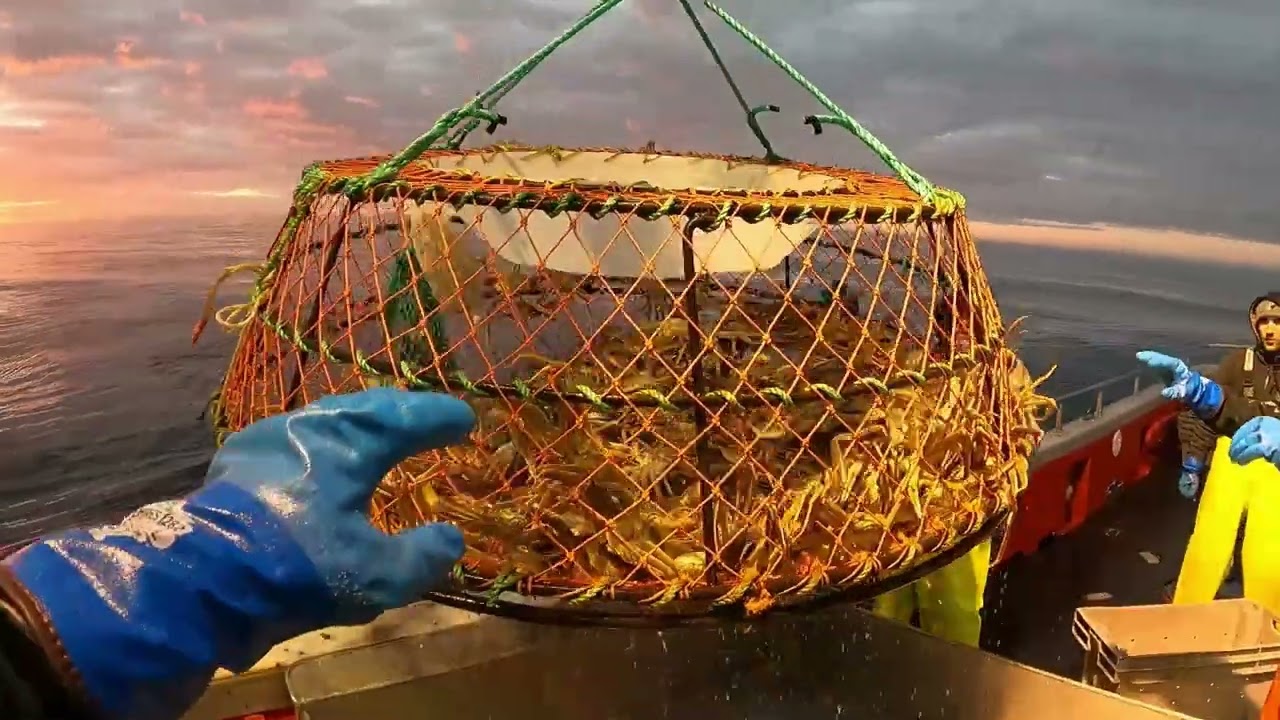 Canadian Crab Fishing