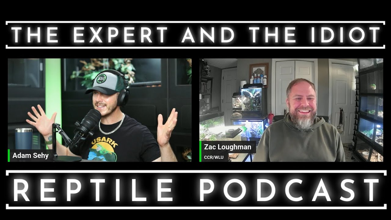 94 - Dr. Zac Loughman of West Liberty University - The Expert and The Idiot - A Reptile Podcast