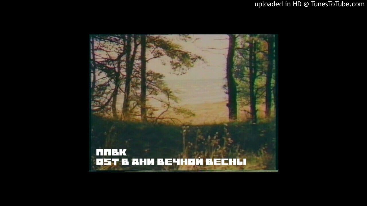 ППВК - Волны
