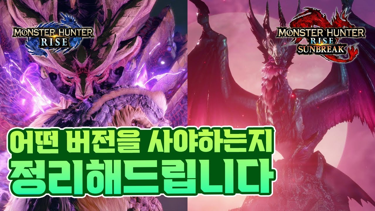 라이즈 선브 차이점? 구매전 헷갈리는 정보 총정리 [몬스터헌터 라이즈 선브레이크]