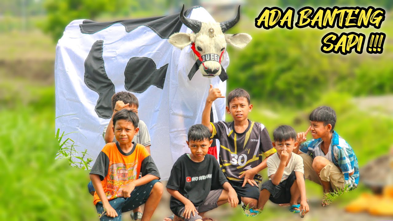 ADA BANTENGAN SAPI DATANG SAAT LAGI MBEROT 🐄😮‼️