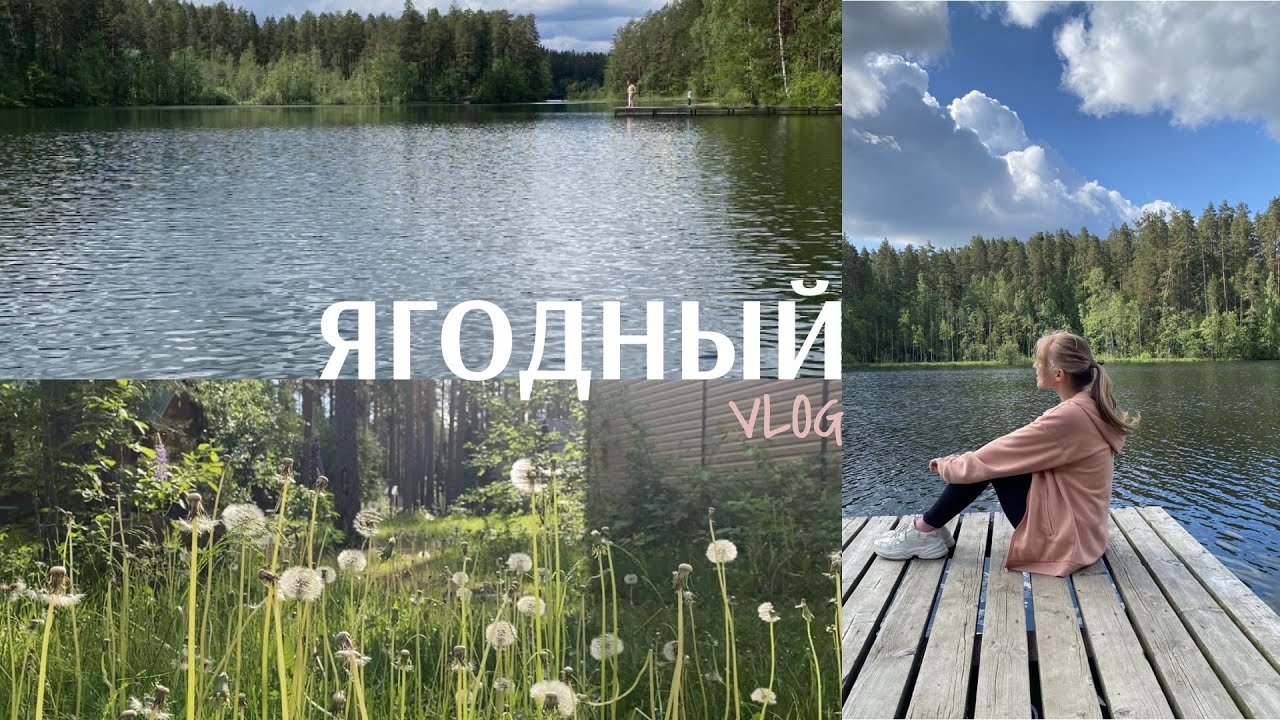 ЯГОДНОЕ 2024 | База отдыха университета ИТМО