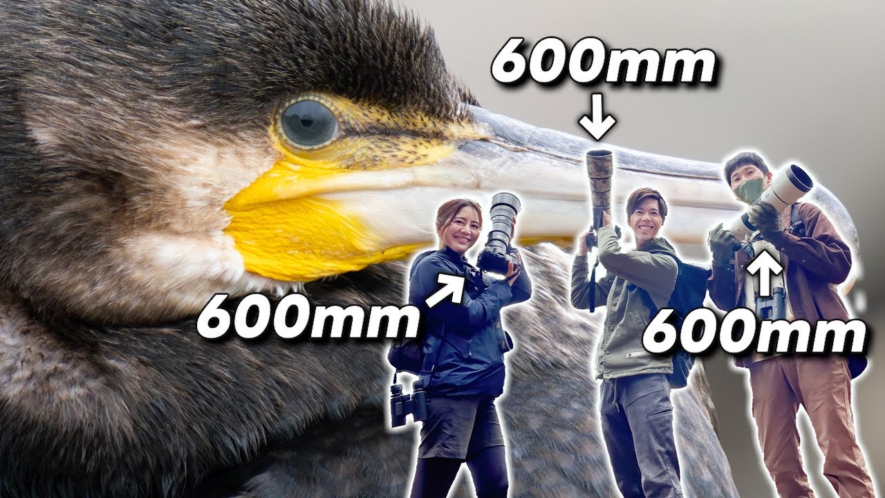 【Pino×イーパ×とむ】SONYとNikonの超望遠抱えた3人で野鳥撮影してきた