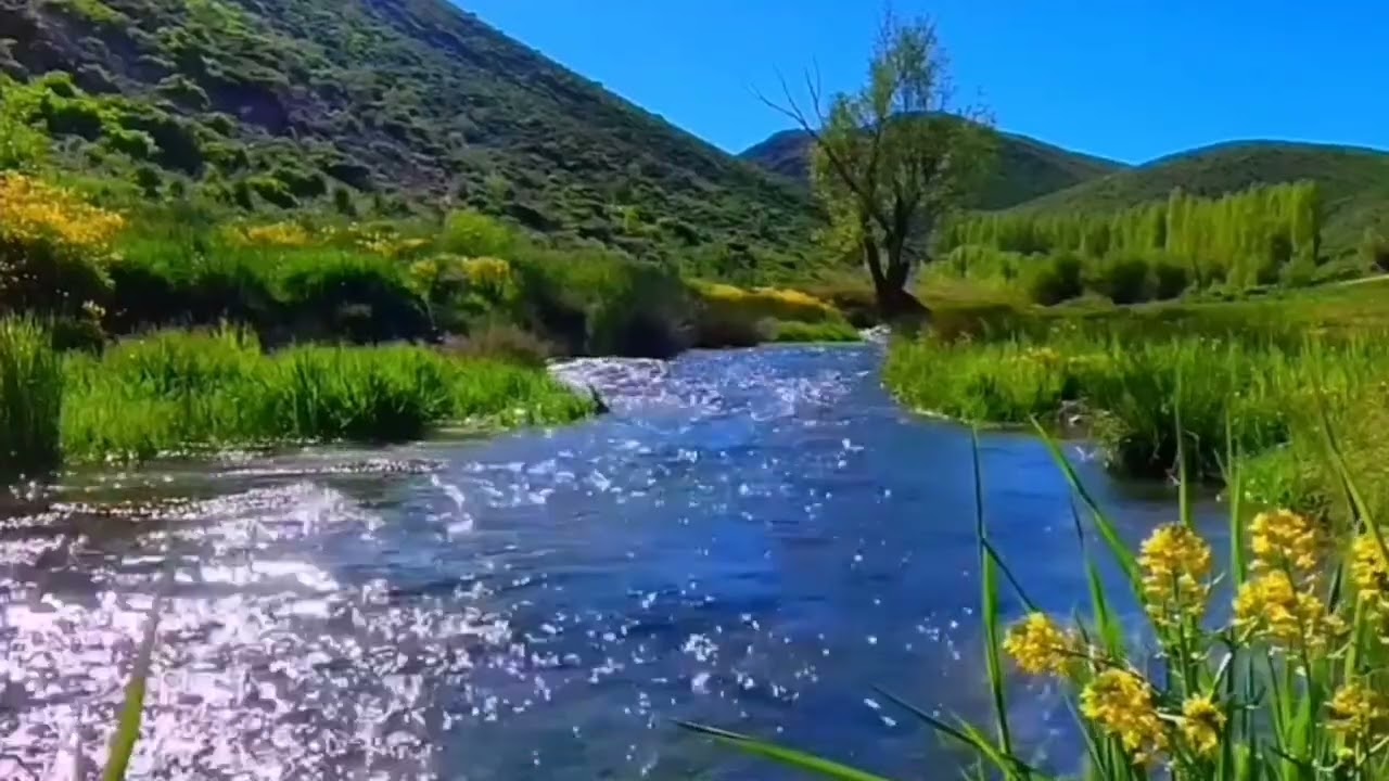 Water sounds for sleeping | calm water sounds | ambient water sounds