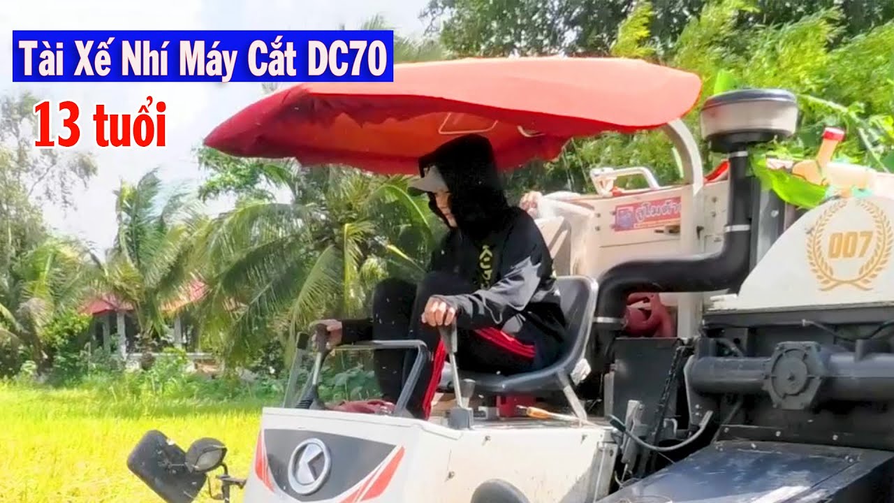 Tài Xế Nhí Lái Máy Cắt Lúa Tốc Độ Khủng Khiếp | Cắt Lúa Cuối Vụ Hè Thu | Thanh Hậu Máy Cắt