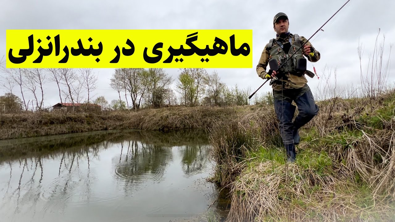 اولین صید بزرگ بهاری من در تالاب انزلی | اردک‌ماهی‌های وحشی! (قسمت اول)