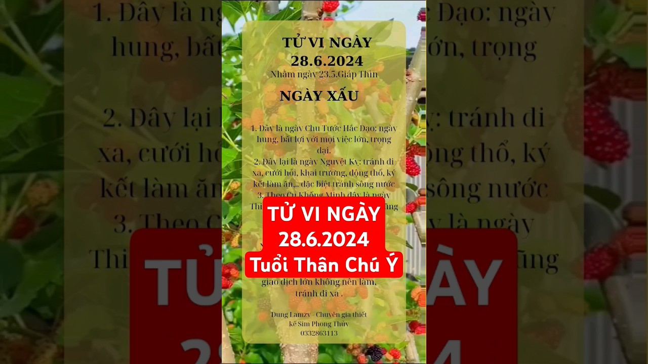 TỬ VI NG&Agrave;Y 28.6.2024Tuổi Th&acirc;n Ch&uacute; &Yacute; #tuvi #tuvihangngay #tuvingaymoi #cuocsong