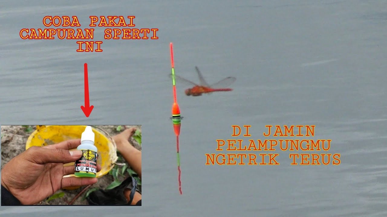 TES ESSEN LUMUT || TERBUKTI PELAMPUNG NGETRIK TERUS || DITARIK IKAN NILA