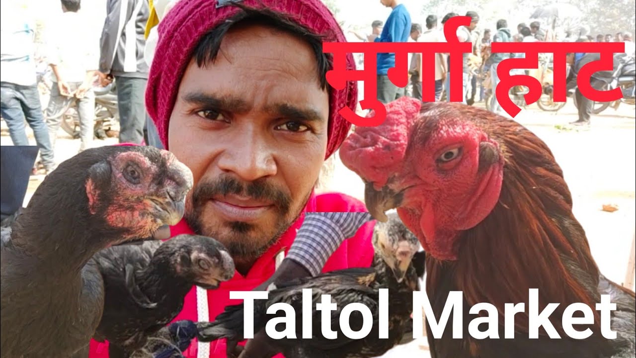 murga market taltol hat//