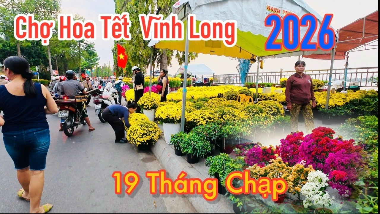 Quang Cảnh Chợ Hoa Tết Vĩnh Long – Rực Rỡ Sắc Xuân | MrDamvlog