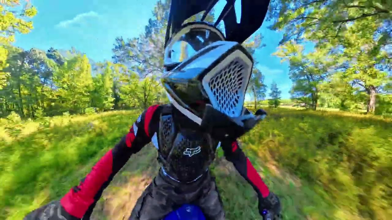 BACKYARD RIPPIN
