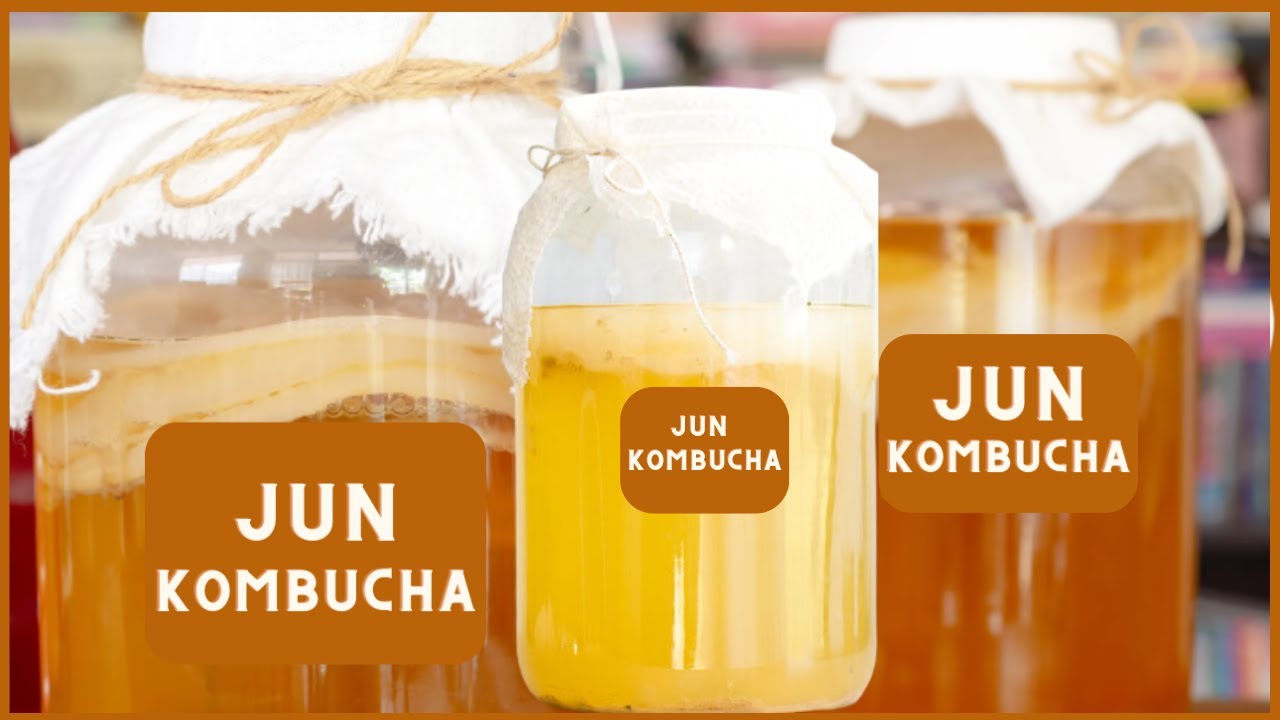 How to make homemade JUN KOMBUCHA