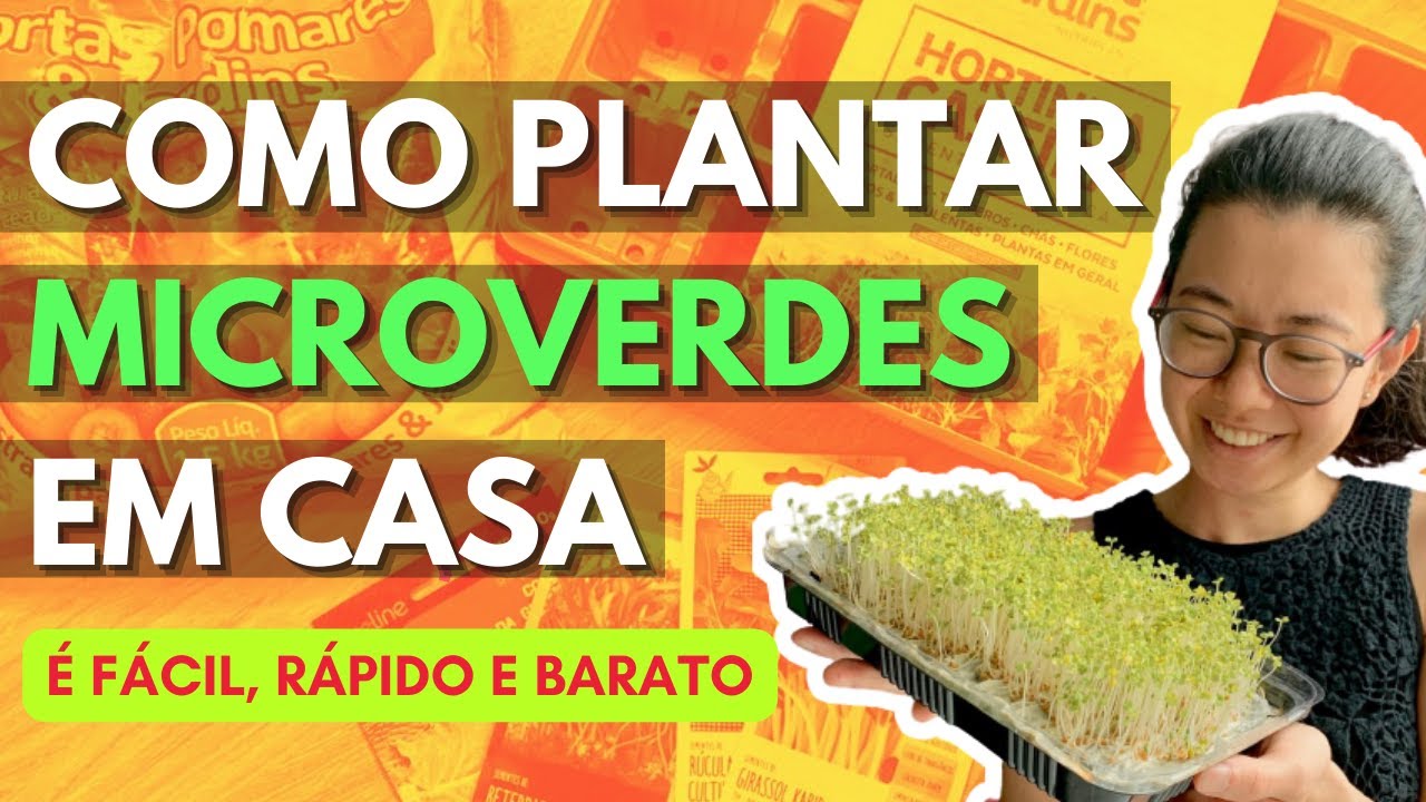 COMO PLANTAR MICROVERDES EM CASA DE FORMA FÁCIL E BARATA - DIY / MICROGREENS