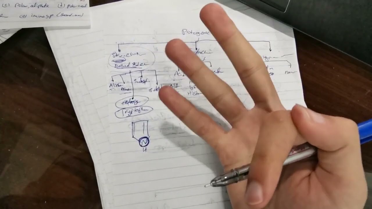 biophysical chemistry lecture 3 ( protein and amino acid) properties