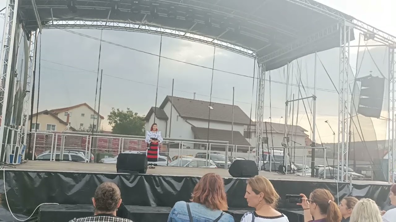 Festivalul Fii Satului Șura Mare