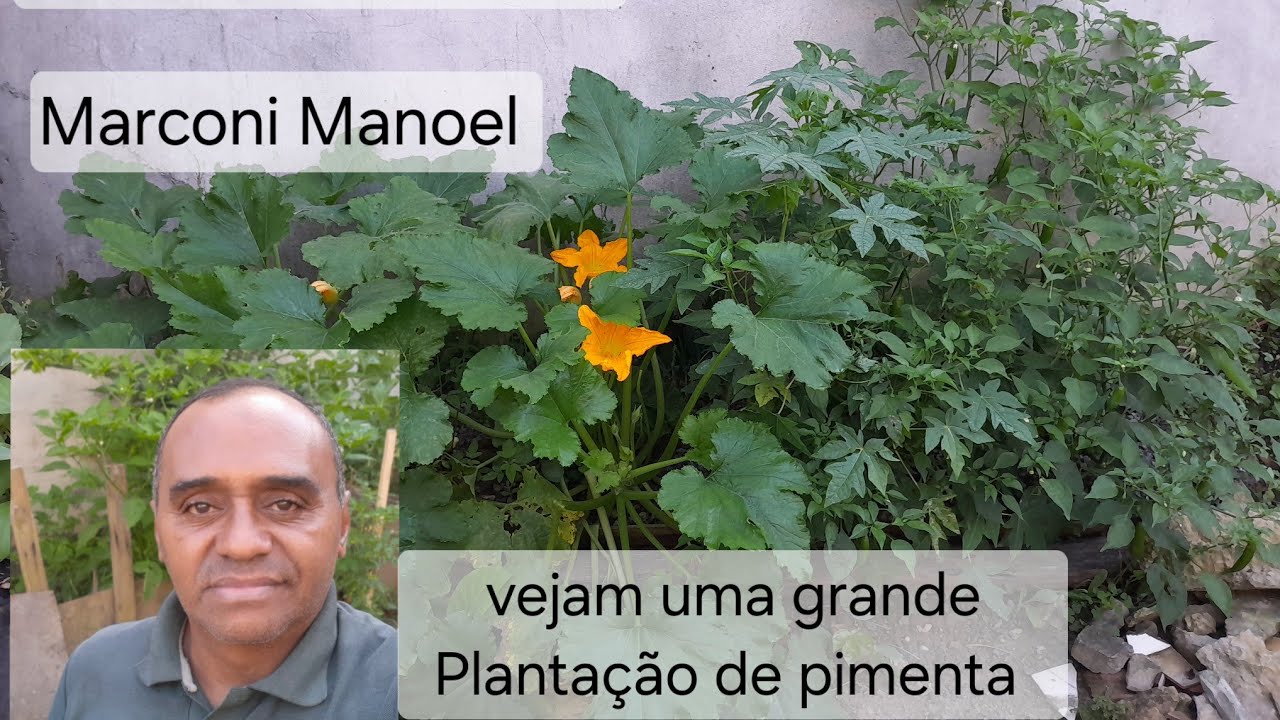 Vejam a quantidade de pimenta 