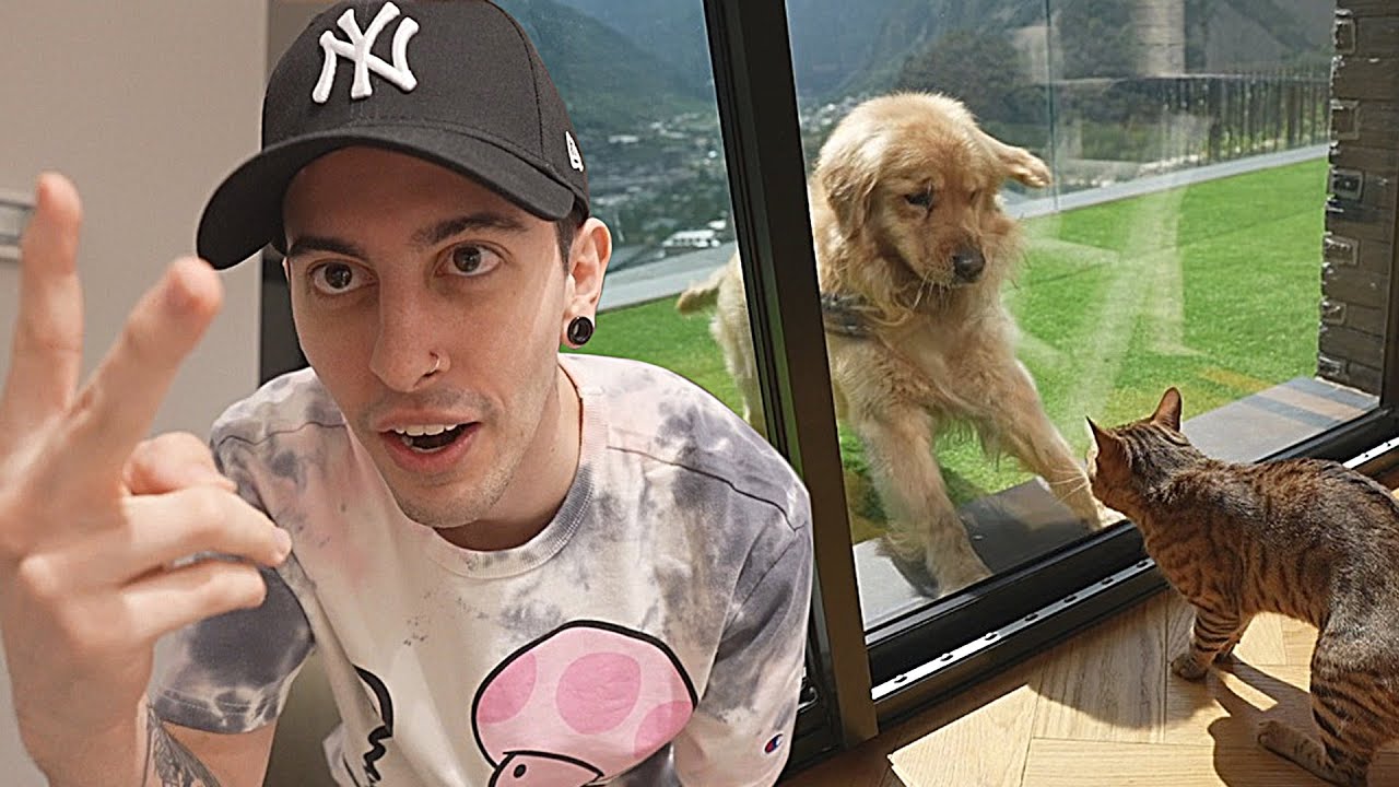 Naruto y Mike se ven por primera vez (VLOG)