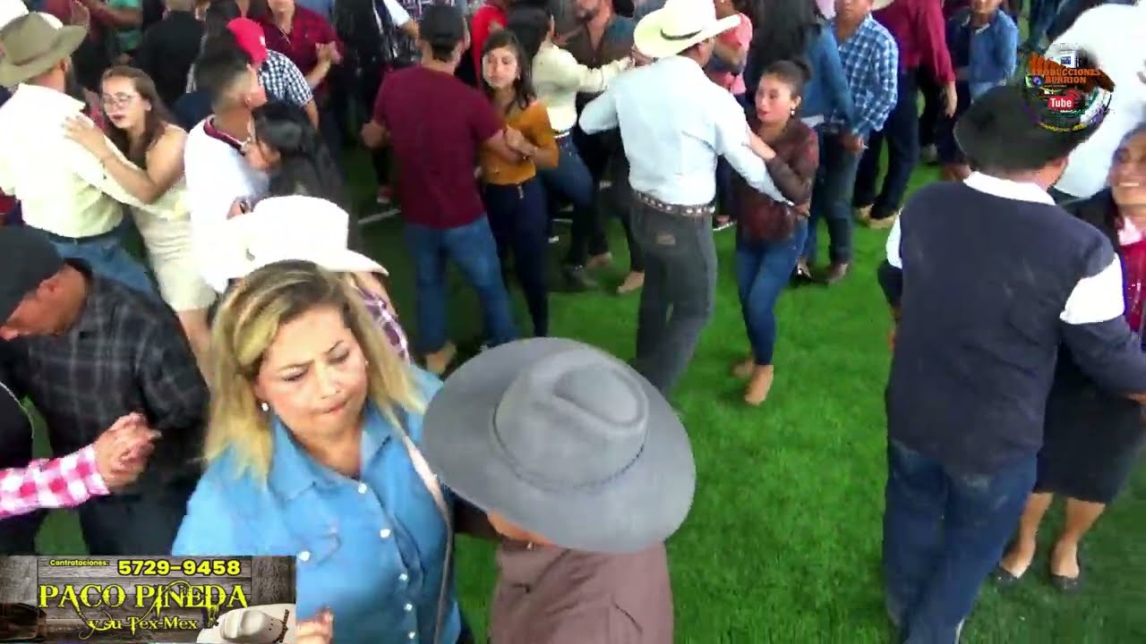 PACO PINEDA EN VIVO 