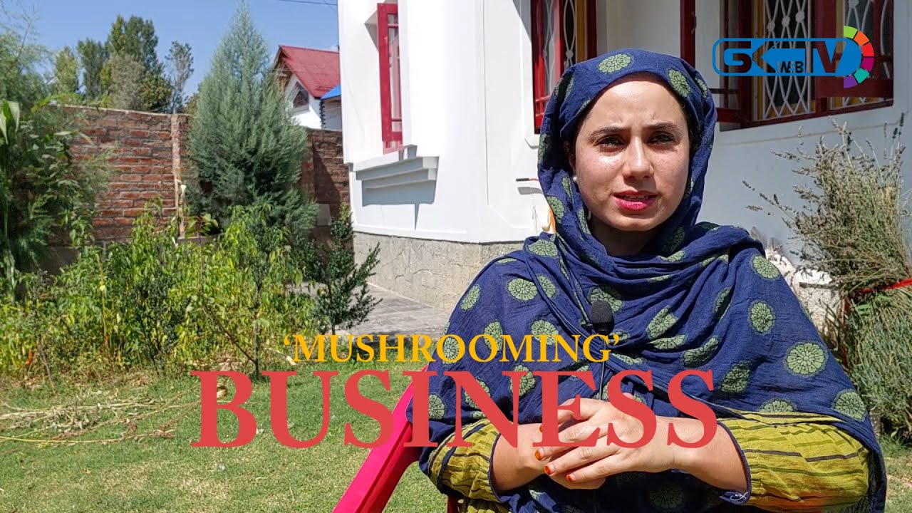 ‘Mushrooming’ Business