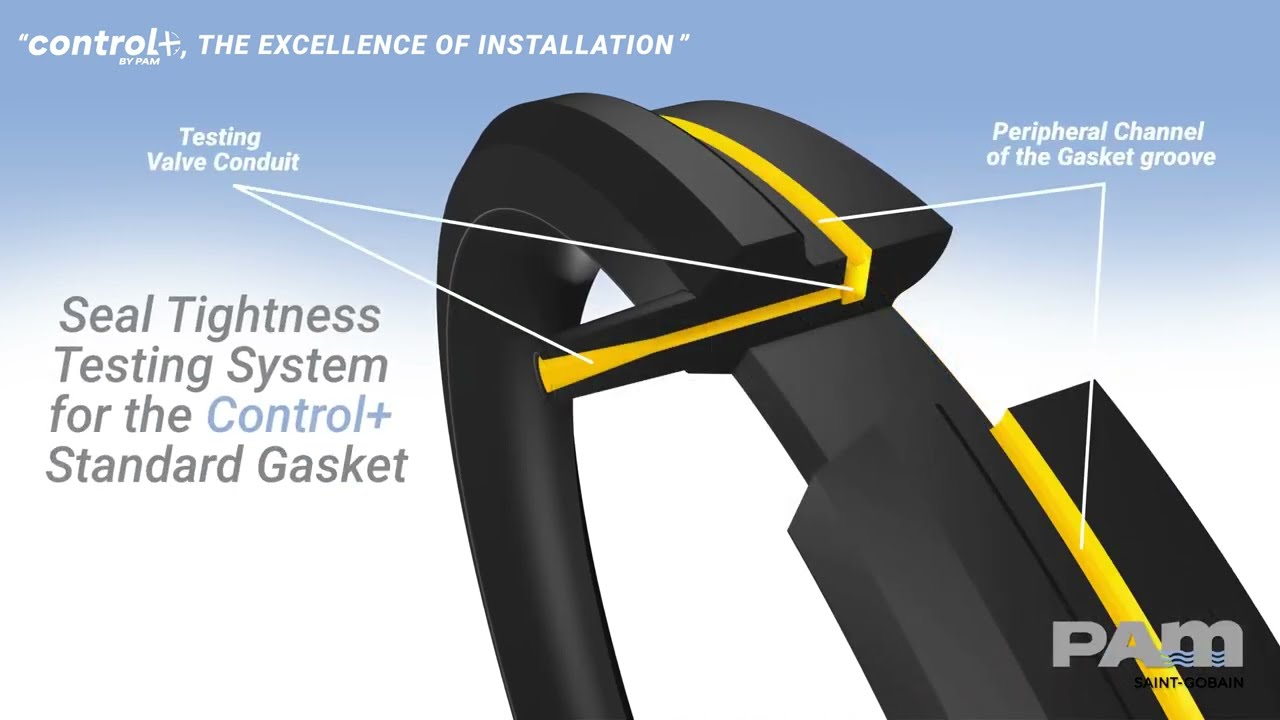 CONTROL+ - The future of gasketing checking