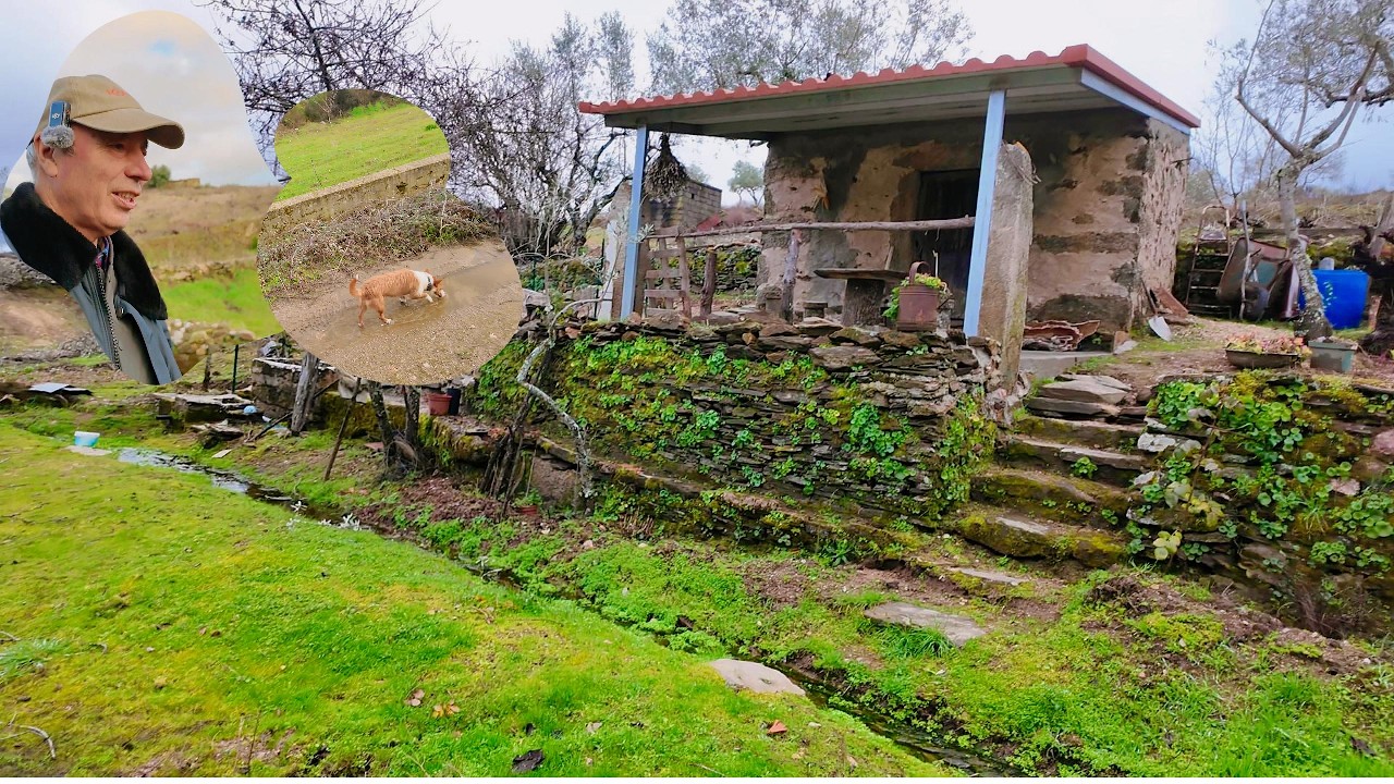 Um Passeio Relaxante Até à Horta
