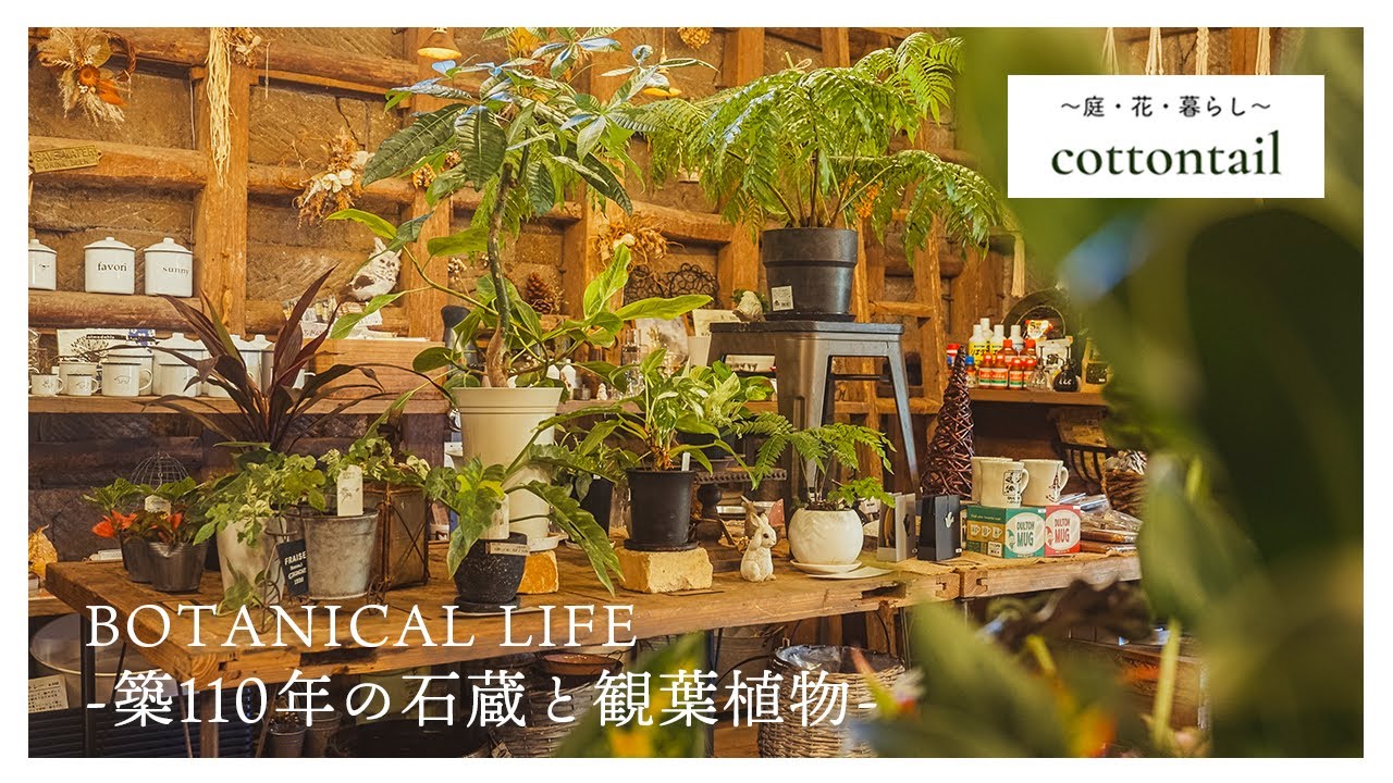 【植物店巡り】築110年以上の石蔵に広がる園芸店「cottontail」｜神奈川｜藤沢