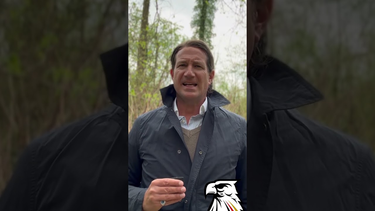 Unglaublicher Frevel: Windrad-Monster im Teutoburger Wald geplant! | Alexander von Wrese