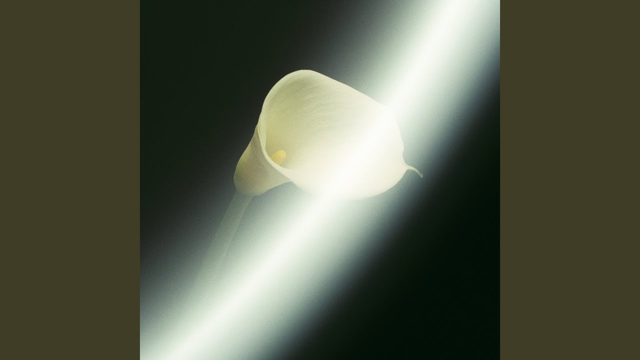 蜜