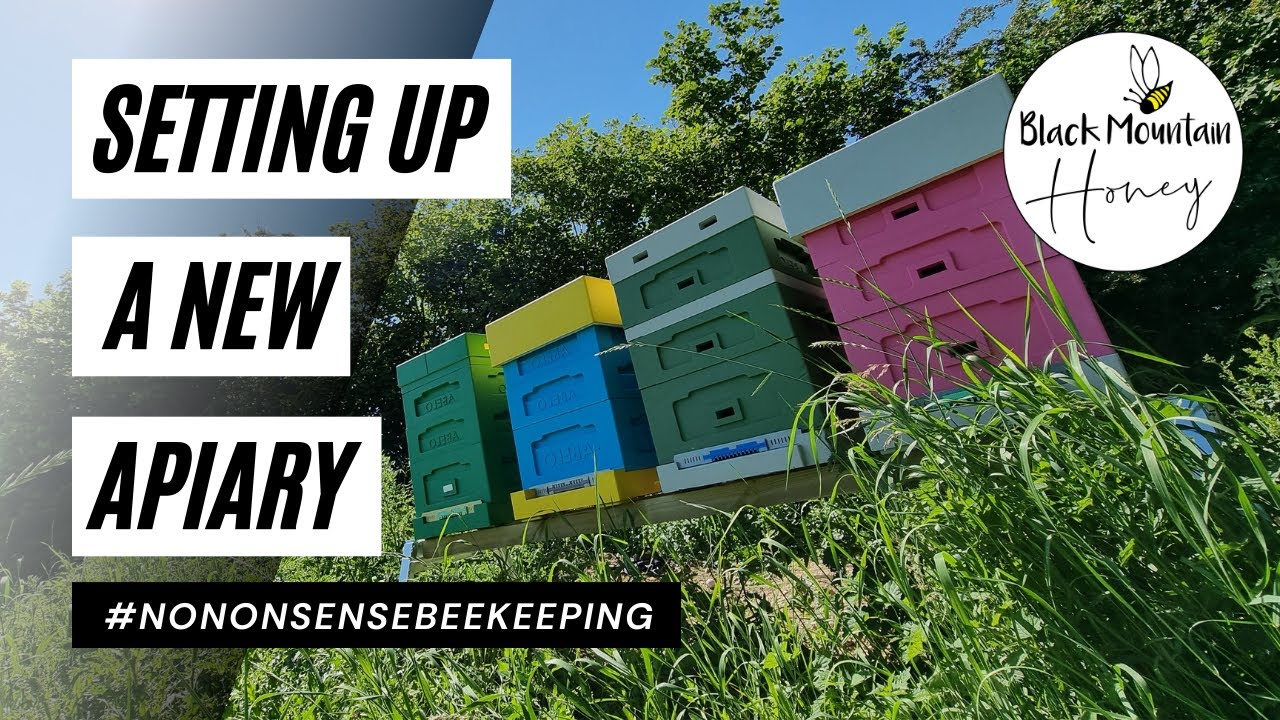 Set Up A New Apiary - Best Hive Site, Stands, and Layout for UK Beekeeping