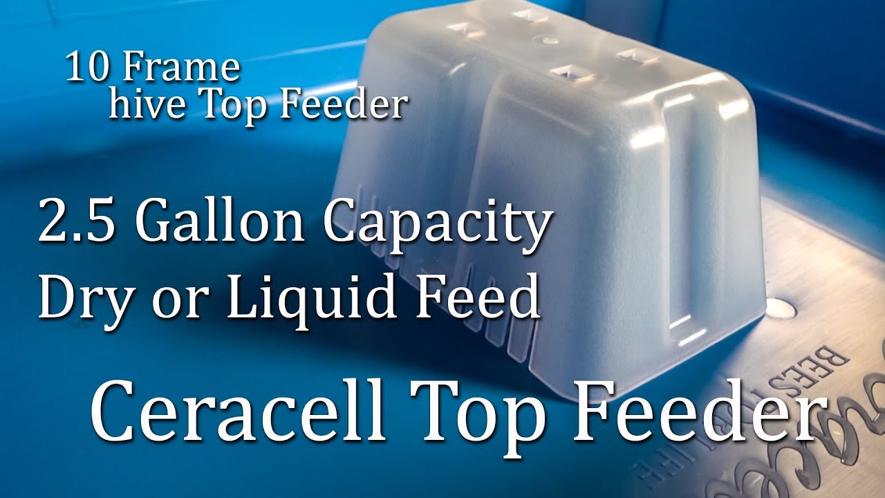 How To Feed Honey Bees, Ceracell Hive Top Feeder & BeeSmart Design Hive Feeder Update. Summer/Winter