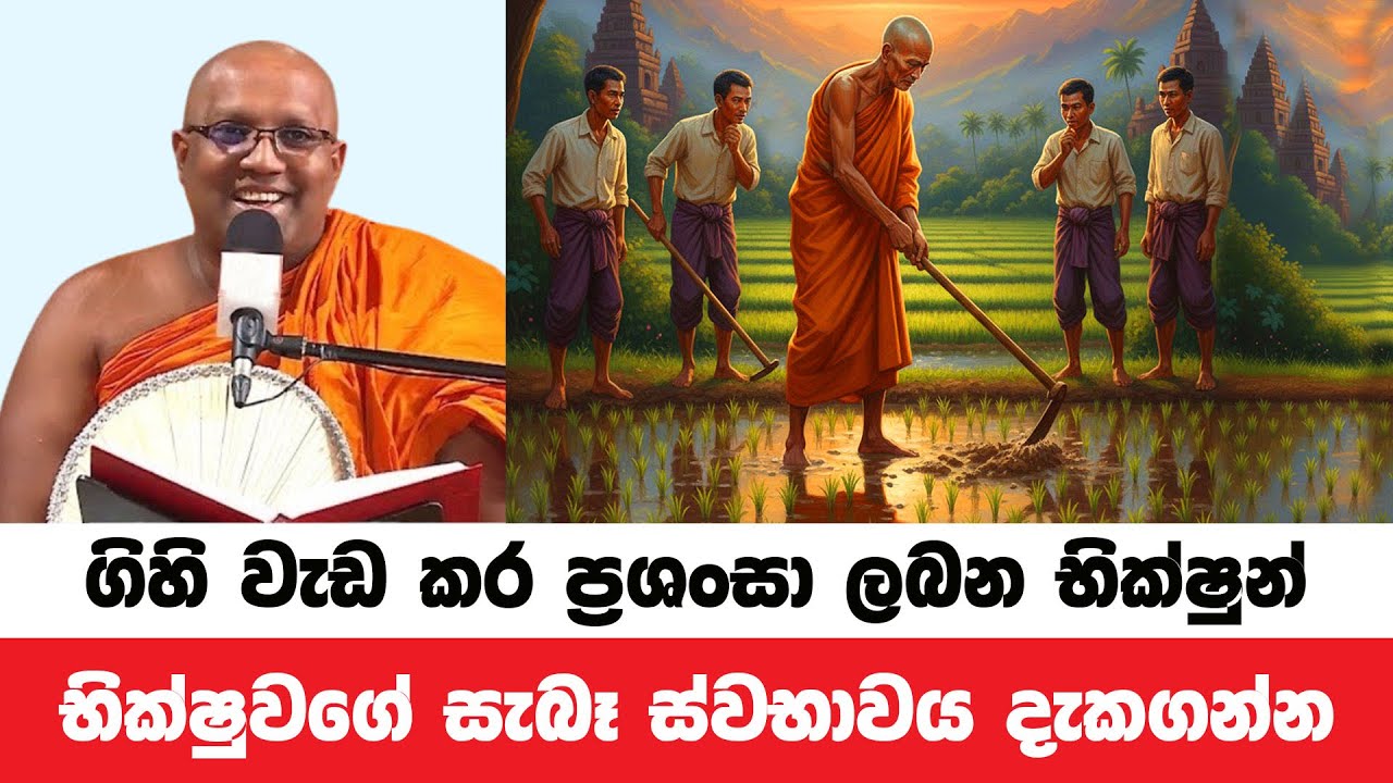 ගිහි වැඩකරන භික්ෂූන් පිළිබඳ සමාජ මතය | Kelaniye Sasanawansa Thero | Dharmadeshana 206
