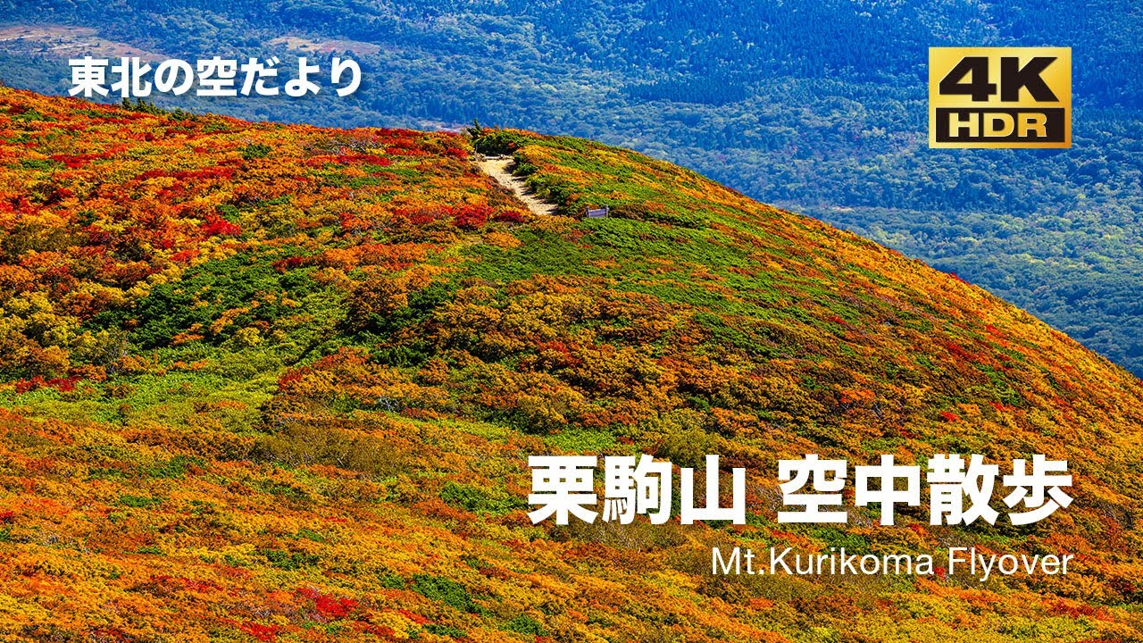 [ドローン空撮] 紅葉の栗駒山 空中散歩 〜2022 紅葉レポート〜 DJI Mavic2 Pro [東北の空だより 字幕解説 4K 60fps]