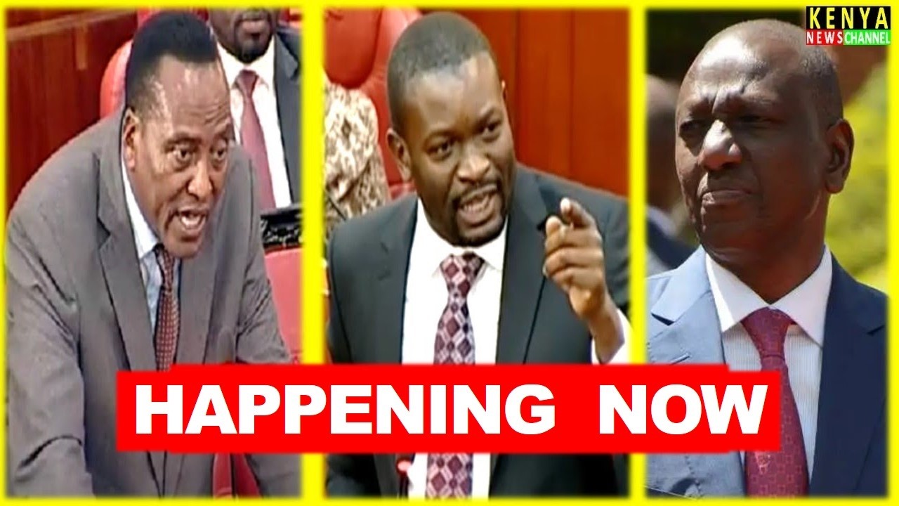 LIVE SENATE - Heated Session as Senators meet Kilifi County Executive and MCAs