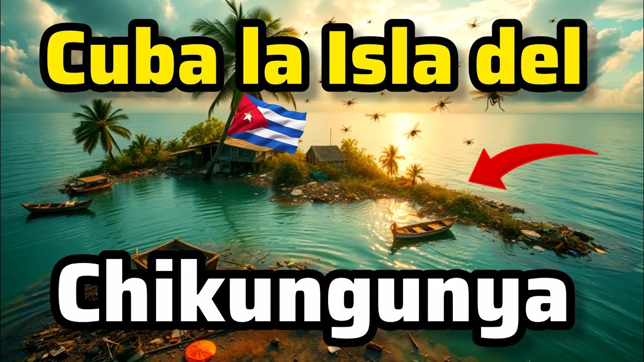 Canción 🇨🇺 Chikungunya en Cuba HOY | Tema viral Impactante  Isla del Chikungunya 😳