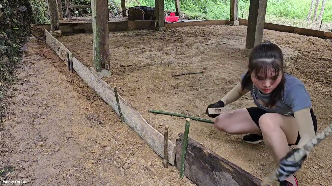 120 days girl lives alone in deep forest and has completed cool house - phungthithu