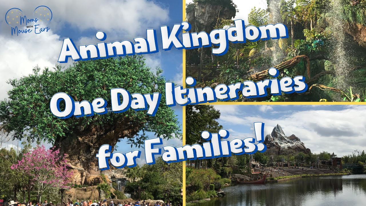 Visiting Animal Kingdom Theme Park | One Day Itineraries for Families