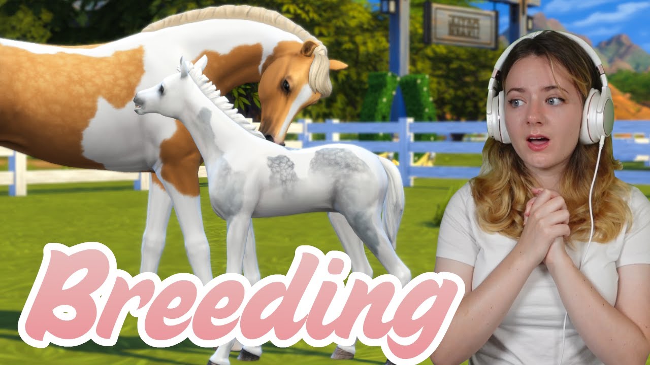 РАЗВЕДЕНИЕ ЛОШАДЕЙ В THE SIMS 4 - Sims 4 Horse Ranch #реклама | Pinehaven