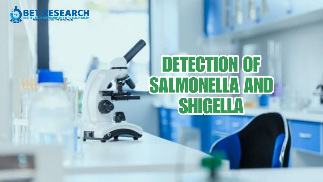 Determination of Shigella & Salmonella Bacteria from Fish Waste Water 🦠🔬 [part 1]