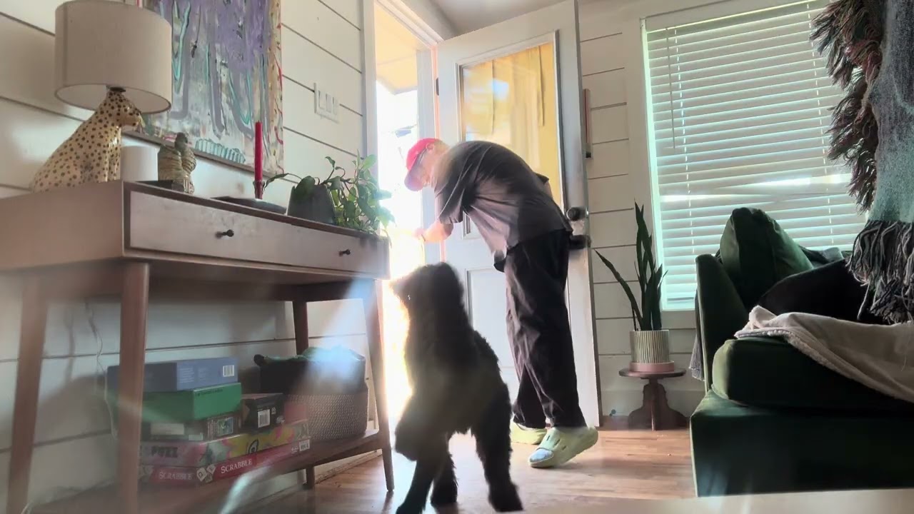 Door Manners with Dobby!