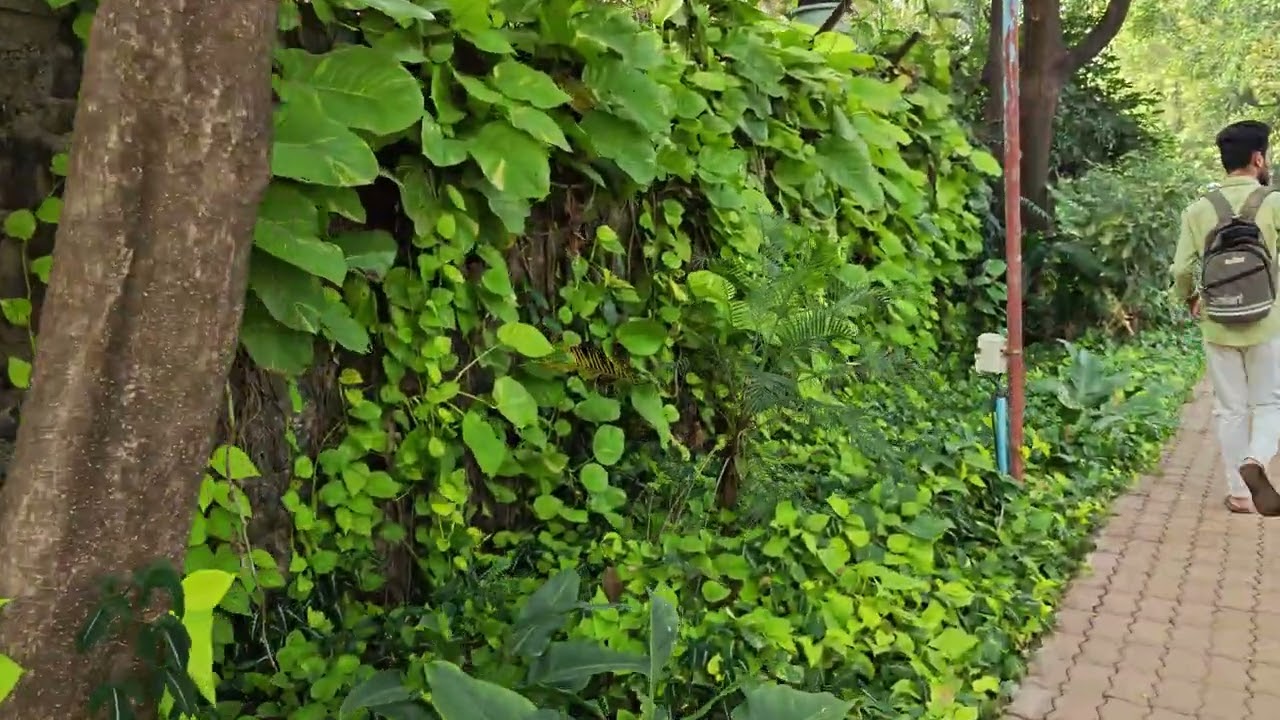 Seepz butterfly garden 🏡#india #mumbai #youtubeshorts #viral #shortsviral #challenge #travel#kids 
